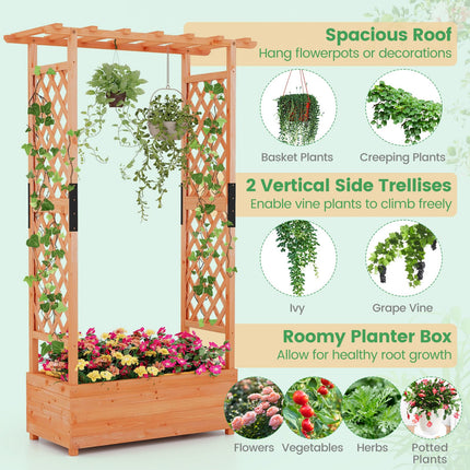 Dreamade Raised Garden Bed with 2-Sided Trellis & Hanging Roof