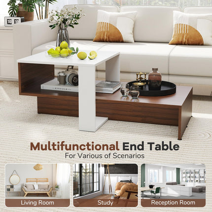 Dreamade 2 Tier Coffee Table with Storage for Living Room Reception Room