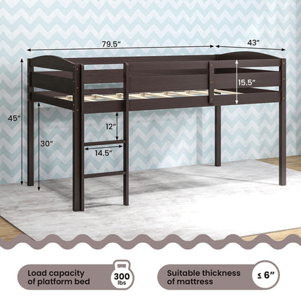 Dreamade Loft Bed with Ladder