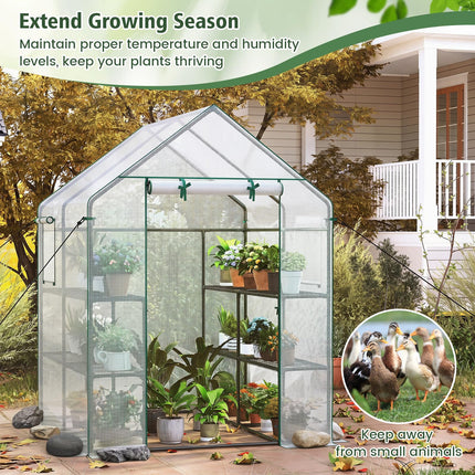 Dreamade 57”L x 57”W x 77”H Walk-in Greenhouse for Outdoors