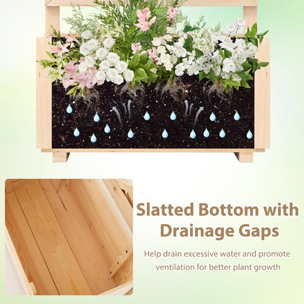 Dreamade Raised Garden Bed with Trellis (1/2)