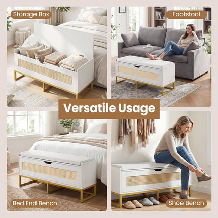 Dreamade Flip-Top Entryway Bench with Removable Padded Seat & Hidden Storage