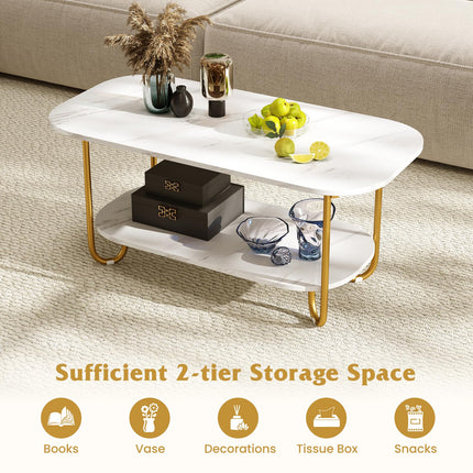 Dreamade 2 Tier Coffee Table with Storage Modern Faux Marble Center Table
