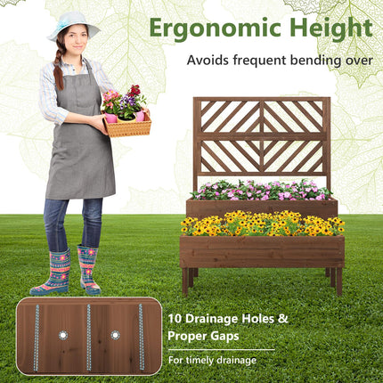 Dreamade Raised Garden Bed with Trellis