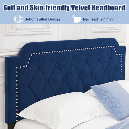 Dreamade Velvet Queen Size Bed Frame, Upholstered Platform Bed with Button Tufted & Nailhead Trim Headboard