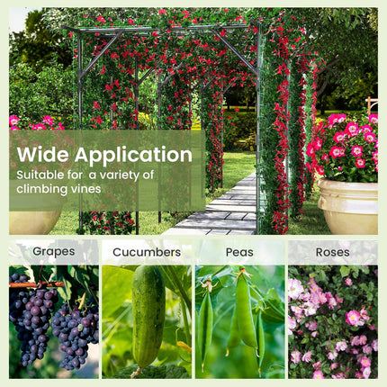 Dreamade Outdoor Grape Vine Trellis for Climbing Plants 79" x 59" x 78" Large Garden Arch