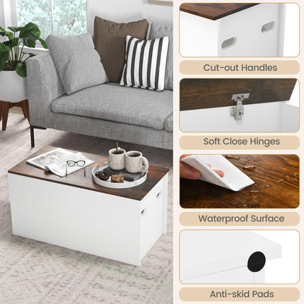 Dreamade Flip-top Storage Chest, Lift Top Storage Bench w/Pneumatic Rod & Safety Hinges