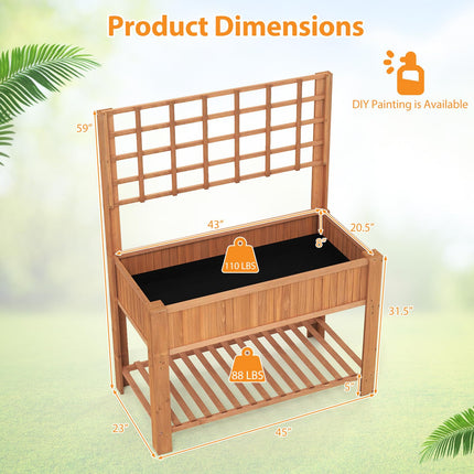 Dreamade Raised Garden Bed with Trellis