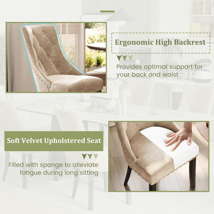 Dreamade Upholstered Dining Chairs Set of 2/4, Tufted Wingback Kitchen Chairs w/Solid Wood Legs, Padded Seat