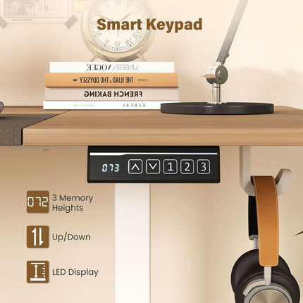 Dreamade 63 x 24 Inch Electric Standing Desk w/ 3 Memory Presets