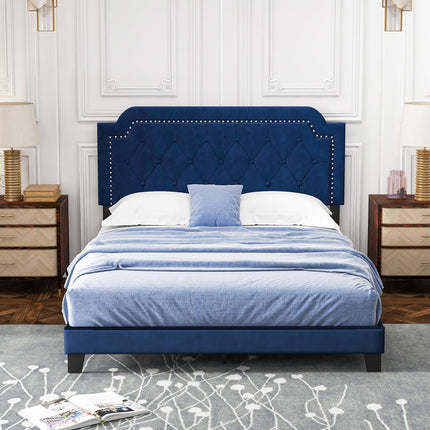 Dreamade Velvet Queen Size Bed Frame, Upholstered Platform Bed with Button Tufted & Nailhead Trim Headboard