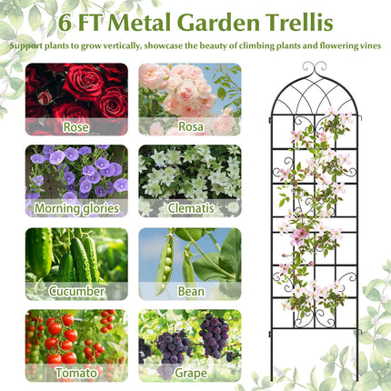 Dreamade 2/4 Packs 71"x20"/86"x20" Metal Garden Trellis for Outdoor Climbing Plants