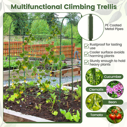 Dreamade Raised Garden Bed with Climbing Trellis, Self-Watering Elevated Planter
