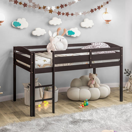 Dreamade Loft Bed with Ladder