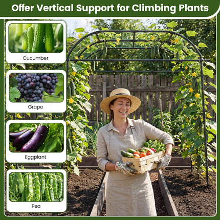Dreamade Metal Garden Arch Trellis for Climbing Plants Outdoor