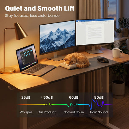 Dreamade 63 x 24 Inch Electric Standing Desk w/ 3 Memory Presets