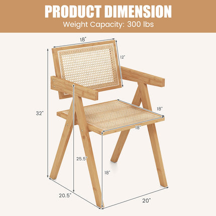 Dreamade Rattan Accent Chair Set of 2