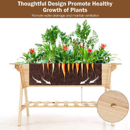 Dreamade Plant Raised Bed 2 Tiers Garden Bed, Outdoor Fir Wood Plant Container with Storage Shelf