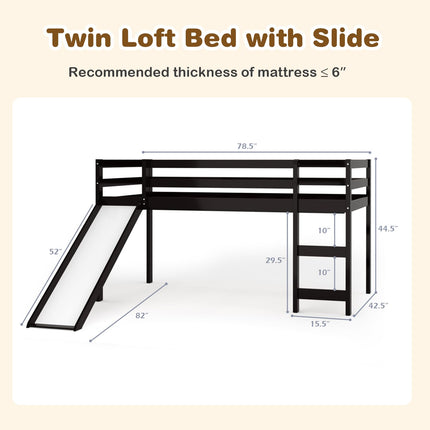 Dreamade Loft Bed with Slide