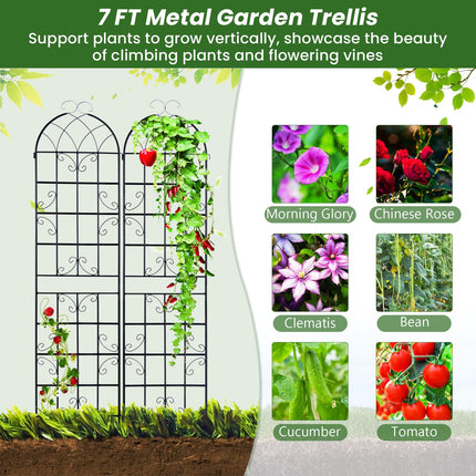 Dreamade 2 Pack Trellis for Climbing Plants Outdoor, 7 FT Tall Galvanized Steel Garden Trellis