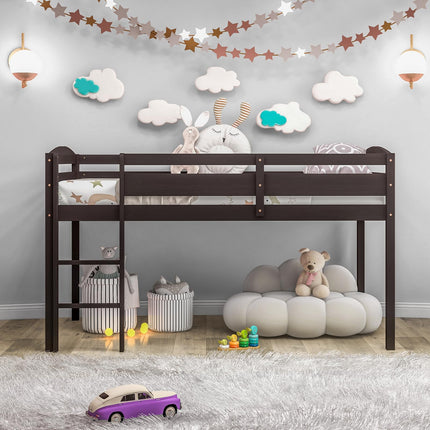 Dreamade Loft Bed with Ladder
