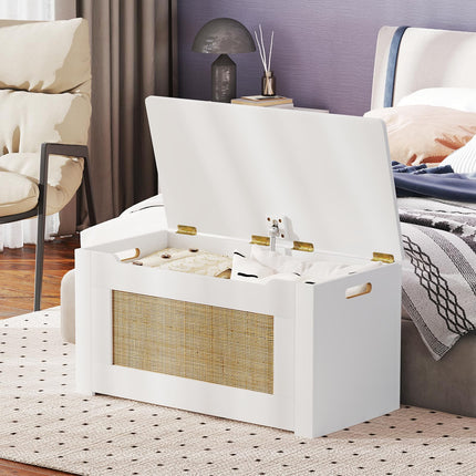 Dreamade Rattan Storage Bench with Flip Top Lid & Safety Hinge