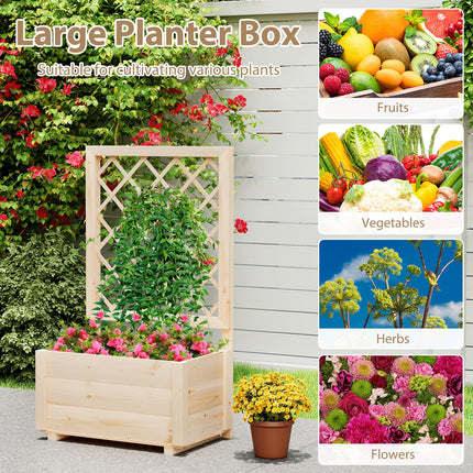 Dreamade Raised Garden Bed with Trellis (1/2)