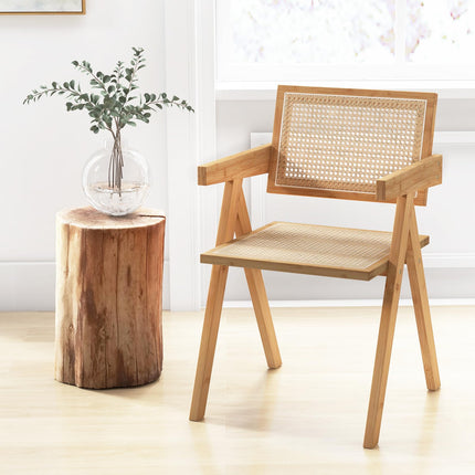 Dreamade Rattan Accent Chair Set of 2