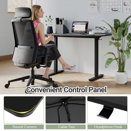 Dreamade Electric Standing Desk 48" x 24" Ergonomic Height Adjustable Sit to Stand Desk with 3 Memory Preset
