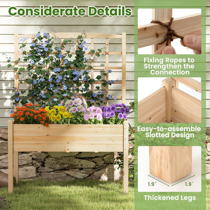 Dreamade Raised Garden Bed with Trellis