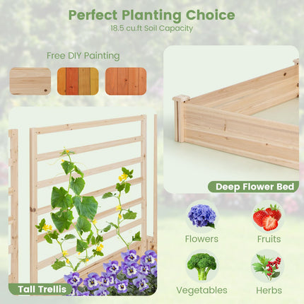Dreamade Raised Garden Bed with Trellis
