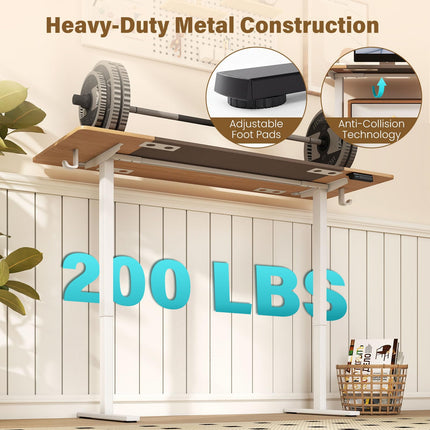 Dreamade 63 x 24 Inch Electric Standing Desk w/ 3 Memory Presets