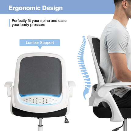 Dreamade Office Chair, Ergonomic Desk Chair