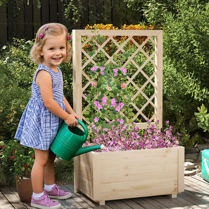 Dreamade Raised Garden Bed with Trellis (1/2)