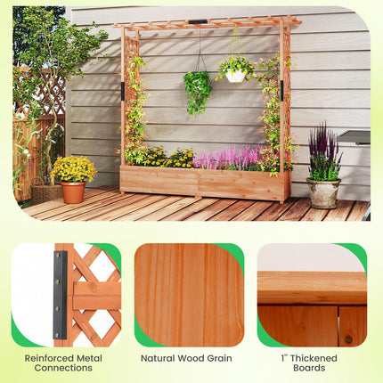 Dreamade Raised Garden Bed with Trellis and Hanging Roof
