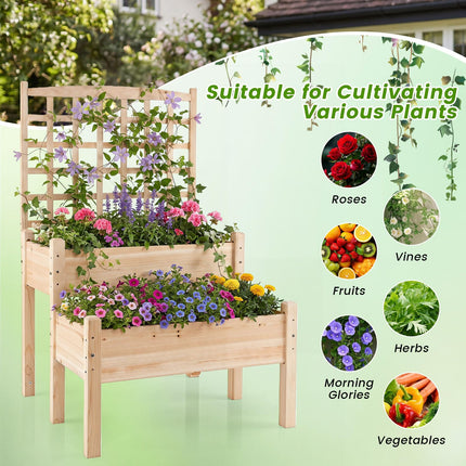 Dreamade 2-Tier Raised Garden Bed with Trellis for Climbing Plants