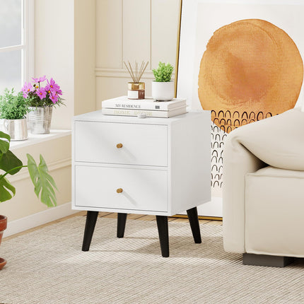 Dreamade Night Stand with 2 Drawers Mid Century Modern Bedside Table