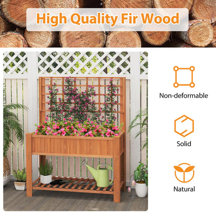 Dreamade Raised Garden Bed with Trellis