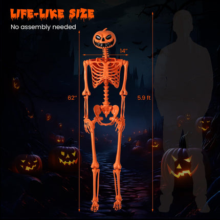 Dreamade 5.2 Ft Life-Size Posable Skeleton with Pumpkin Head Halloween Orange Skeleton Decoration