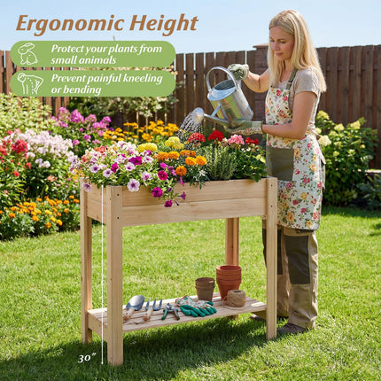 Dreamade Wood Raised Garden Bed w/Lower Shelf