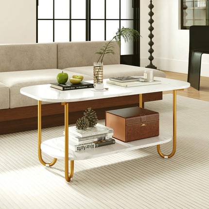 Dreamade 2 Tier Coffee Table with Storage Modern Faux Marble Center Table