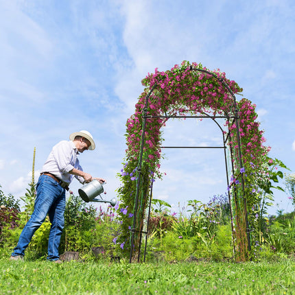 Garden Arch Trellis for Climbing Plants - Dreamade