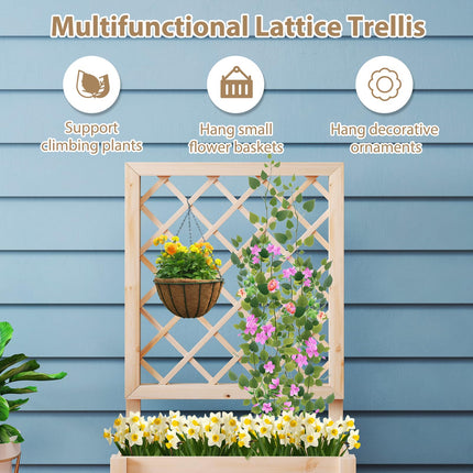 Dreamade Raised Garden Bed with Trellis (1/2)