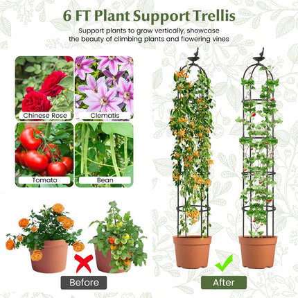 Dreamade 2-Pack Tomato Cages, 69” PE-Coated Metal Garden Obelisk Trellis for Climbing Plants