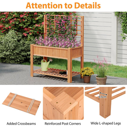 Dreamade Raised Garden Bed with Trellis