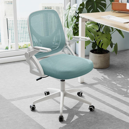 Dreamade Ergonomic Desk Chair with Flip-up Arms & Lumbar Support