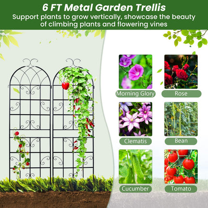 Dreamade Trellis for Climbing Plants Outdoor, 6 FT Tall Galvanized Steel Garden Trellis