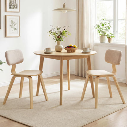 Dreamade Dining Chairs Set of 4/2 Teddy Velvet Padded Backrest & Ergonomic Seat