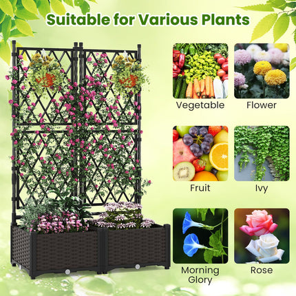 Dreamade Raised Garden Bed with Lattice Trellis Self-Watering Planter Box（32"LX16"WX50"H）