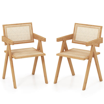 Dreamade Rattan Accent Chair Set of 2